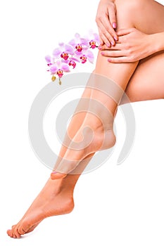 Female legs and pink manicure with orchid flower