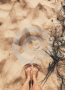 Female legs in the sand on the beach. Beach photo. Stroll. Vertical shot.