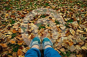 Female legs in sneakers and jeans on the background of fallen yellow leaves