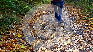Female legs, walking along forest path, strewn by yellow fallen leaves in autumn.