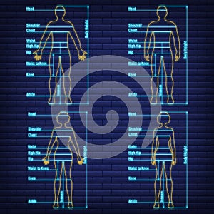 Female, male neon glow size chart anatomy human, people dummy front view side body silhouette isolated on wall background flat