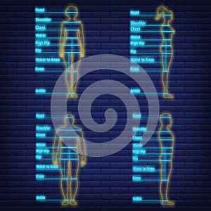 Female, male neon glow size chart anatomy human, people dummy front view side body silhouette isolated on wall background flat