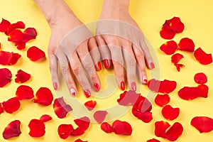 Female manicured hands surrounded with petals.