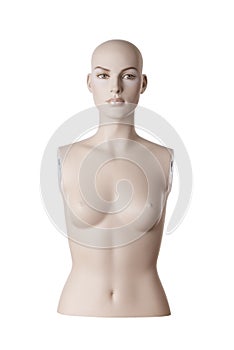 Female mannequin torso | Studio isolated photo