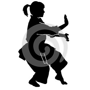 Female martial art silhouette