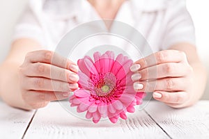 Female medical care concept, pink flower gerbera in hand