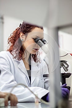 A female medical or scientific researcher or woman doctor looking through a microscope in a laboratory. Young scientist doing