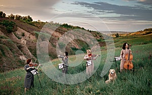 Female musical quartet with violins and cello plays on flowering meadow next to sitting dog.