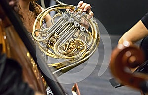 Female musician playing french horn duriing a live orchesta performance