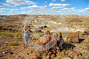 Female national park visitor admiring the view in Petrified Forest National Park, Arizona, USA