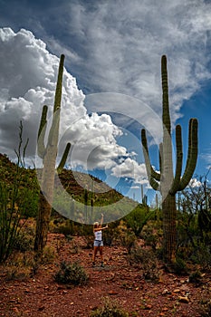Female nature lover admiring the saguaro cactus Carnegiea gigantea in Saguaro National Park, Arizona photo