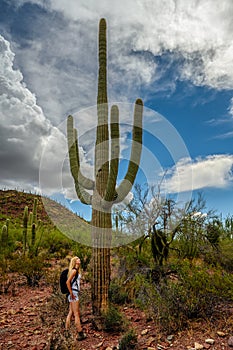 Female nature lover admiring the saguaro cactus Carnegiea gigantea in Saguaro National Park, Arizona photo