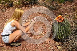 Female nature photographer taking photos of the saguaro cactus Carnegiea gigantea in Saguaro National Park, Arizona photo