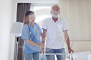 Female nurse or doctor helping elderly patient man lean to walk with orthopedic walker, patient practice walking inside house with