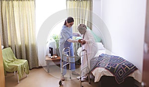 Female nurse helping senior female patient to stand with walker