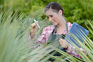 female nursery worker with clipboard inspecting plantlife