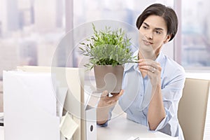 Female office worker holding potted plant