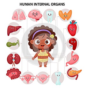 Female organs cartoon characters. Anatomy human body. Medical kids educational infographic with cute black ethnic girl