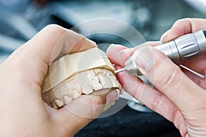 Female orthodontist working photo