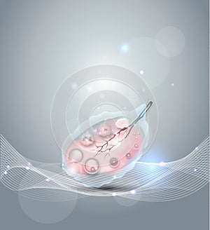 Female ovary abstract grey background