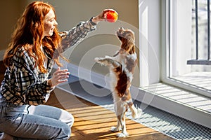 Female owner playing with excited dog at home, happy young redhead woman enjoying games