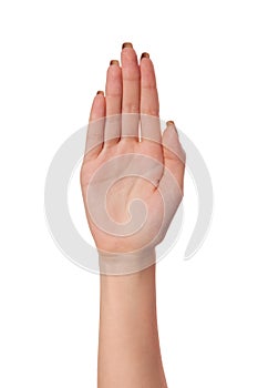 Female palm hand gesture, isolated on white