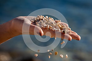 Female palm holding handful of a small pebble stones, some pebbles are falling