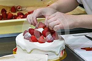 Female pastry chef hands, decorating a cream cake with strawberries