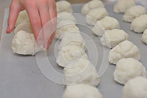 Female pastry chef hands preparing coconut cupcakes