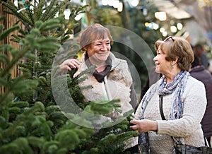 female pensioners buying New Year tree at fair