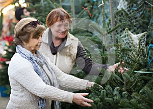 Female pensioners buying New Year tree at fair