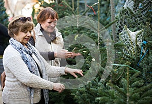 Female pensioners buying New Year tree at fair