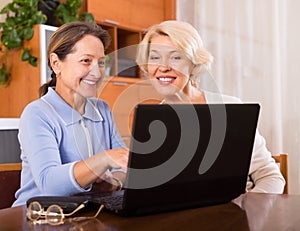 Female pensioners with laptop indoor