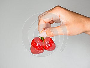 Female person holding a fresh red strawberries towards gray