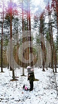 Female person walking dog in winter woods. Vintage style picture with woman in snowy forest with poodle puppy. Enjoy