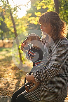 Female pet instructor in autumn clothes feeding dachshund puppy in autumn park