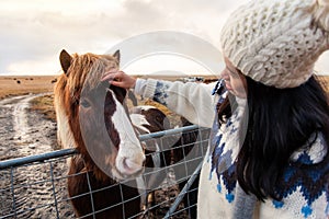 Female petting Icelandic horse on Iceland road trip