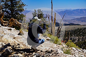 A female photographer at the Ancient Bristlecone Pine forest in the White Mountains of California