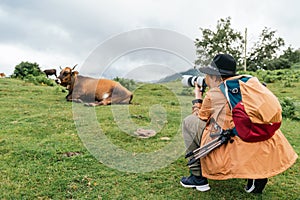 Female photographer in an orange coat and hat taking a picture of a cow in a meadow