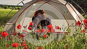 Female photographer takes picture of poppies sitting near travel tent