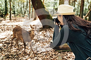 Female photographer taking photo of wildlife