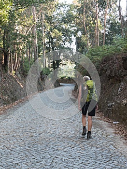 Female pilgrim with a backpack on a forest track