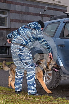 Female police officer with a trained dog sniffs out drugs or bomb in the car. Terrorist attacks prevention. Security. German
