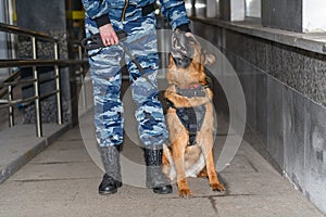 Female police officers with a trained dog. German shepherd police dog