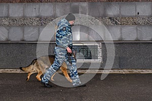 Female police officers with a trained dog. German shepherd police dog