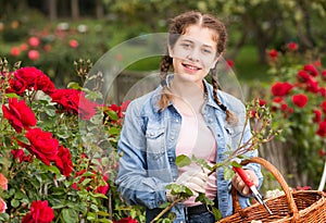 female posing near roses and holding a basket in the garden