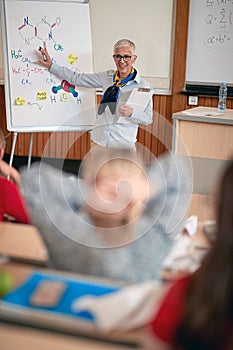 Female professor presenting the lecture on a board