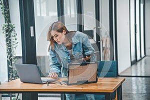 Female programmer working on coding, software development and web design.Concept technology development