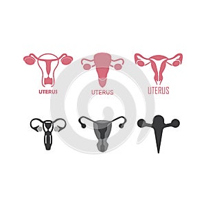 Female reproductive icon