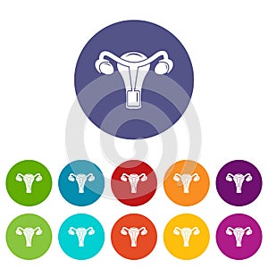 Female reproductive organ icons set vector color